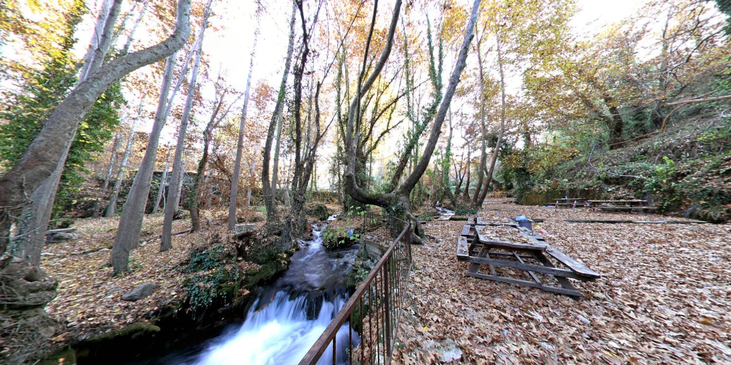 Zeyve Pazarı