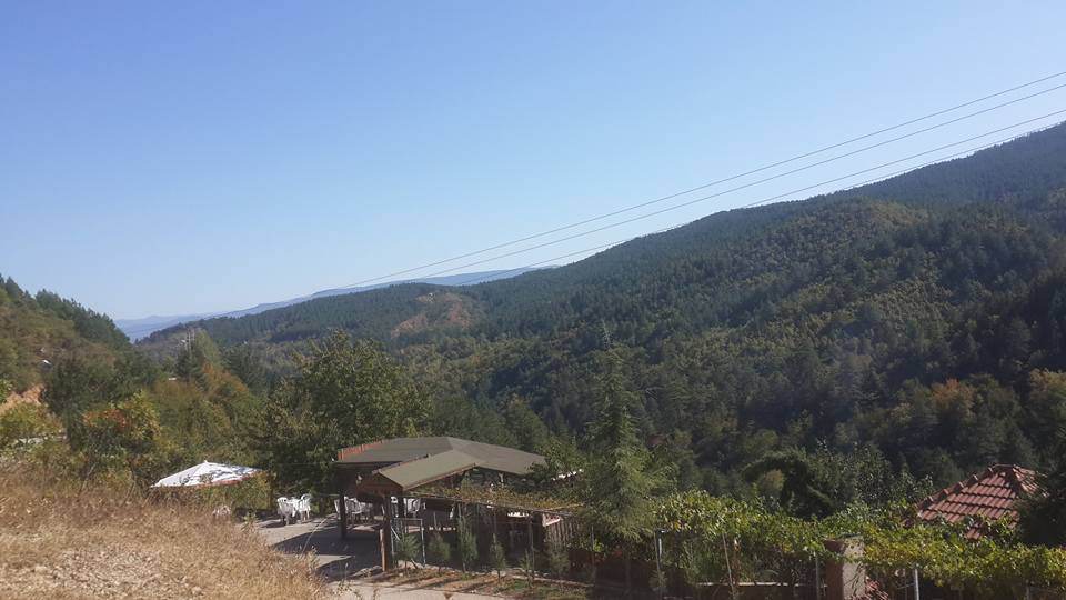 Huzur Vadisi