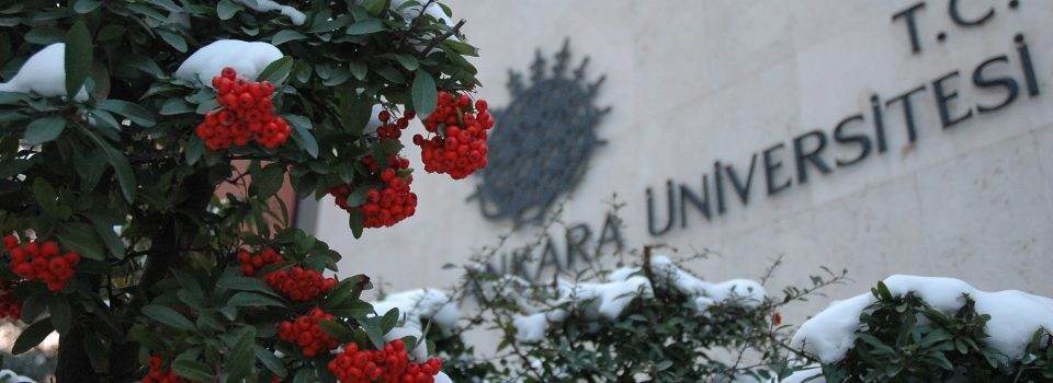 Ankara Üniversitesi Güneydoğu Avrupa Çalışmaları Uygulama ve Araştırma Merkezi