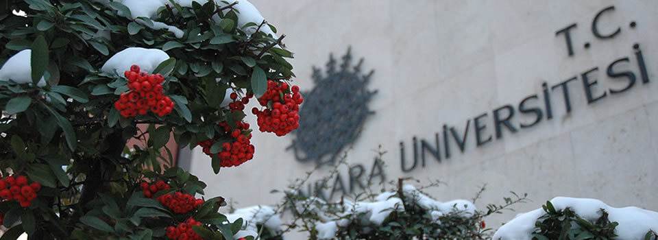 Ankara Üniversitesi Kızılcahamam Sağlık Hizmetleri Meslek Yüksekokulu