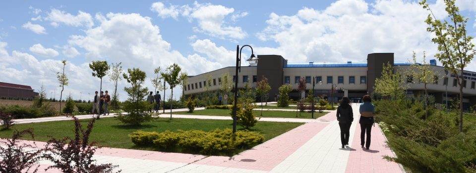 Ankara Üniversitesi Yabancı Diller Yüksekokulu