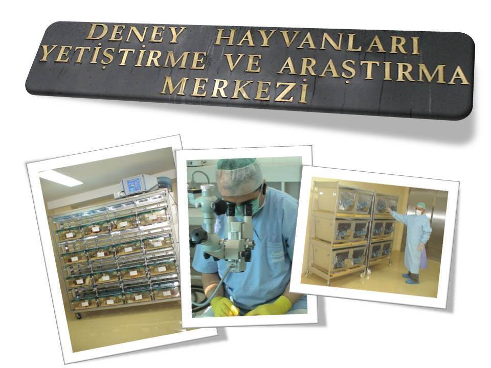 Uludağ Üniversitesi DEHYUAM