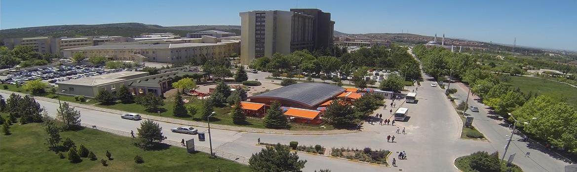 Eskişehir Osmangazi Üniversitesi Dahili Tıp Bilimleri Bölümü