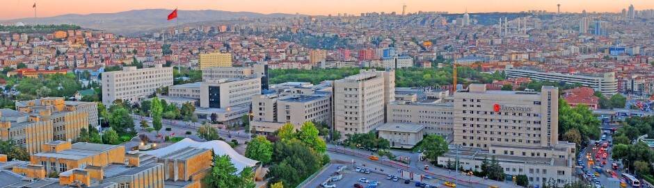 Hacettepe Üniversitesi Çocuk ve Ergen Ruh Sağlığı ve Hastalıkları Anabilim Dalı