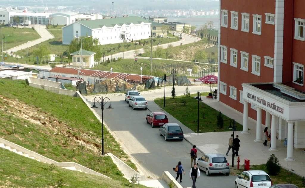 Sakarya Üniversitesi Türkçe ve Sosyal Bilimler Eğitimi Bölümü