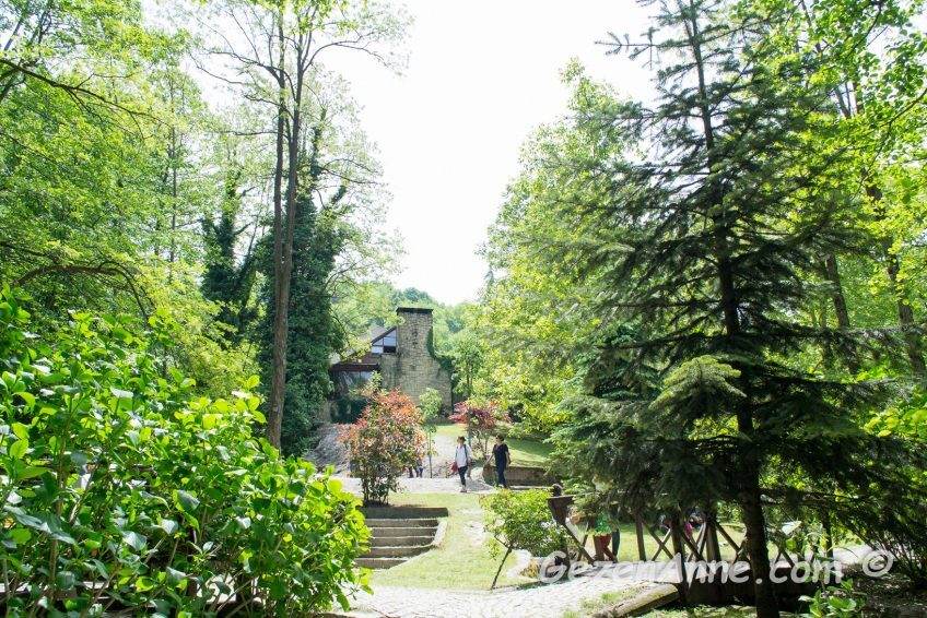 Sapanca İstanbul Dere Ne Nerede