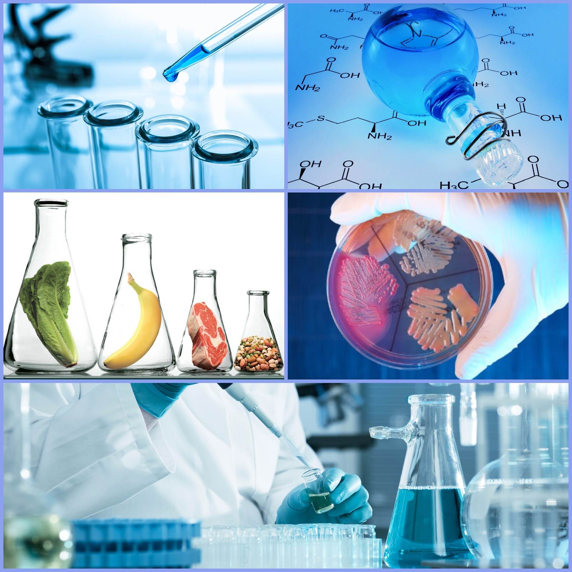 Adnan Menderes Üniversitesi Gıda Mühendisliği