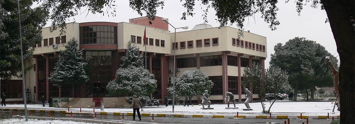 Ege Üniversitesi Uluslararası Bilgisayar Enstitüsü