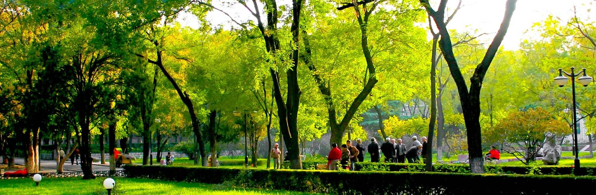 Afyon Kocatepe Üniversitesi Afyon Meslek Yüksekokulu