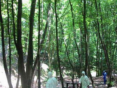 blank