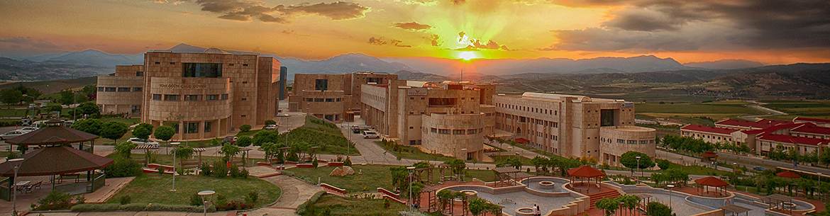 Kahramanmaraş Sütçü İmam Üniversitesi Sosyal Bilimler Enstitüsü